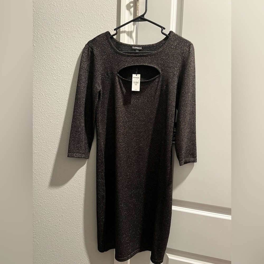 Express Dress , Never Worn!
